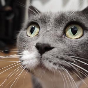 财务王老师 头像