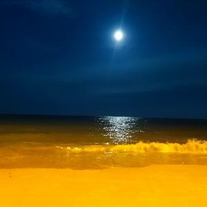 智者总是重名 头像