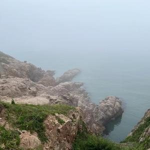 小草mxm 头像