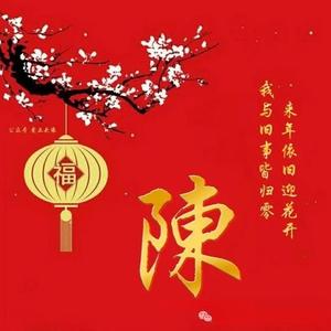 陈子 头像
