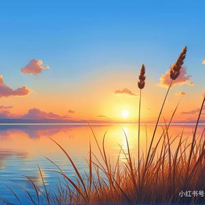 书谋 头像