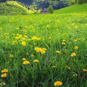 海阔天空63473296 头像