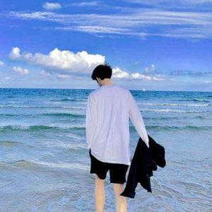 文心雕龙青布衣 头像