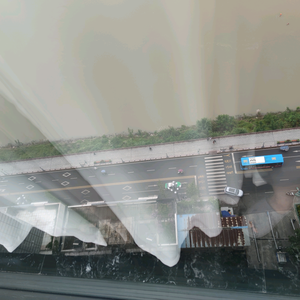 德才兼备星球xv 头像