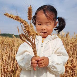 小雨生活记头像