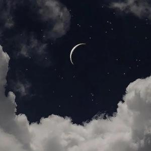 滕州沙河之东 头像