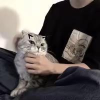 我的世界黑球 头像