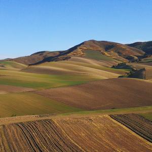 我心飞翔700615 头像