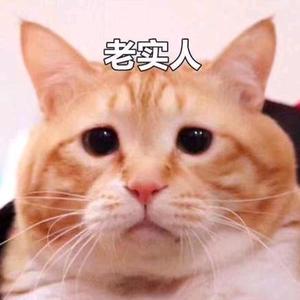 橘猫克苏鲁 头像