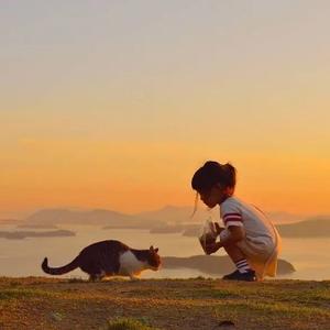 品茗闲话