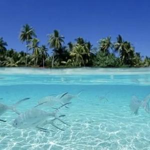 空白剧场KB 头像