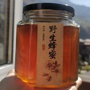 怒江树洞蜂蜜王子头像