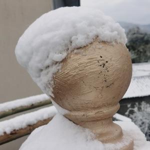 时间章鱼 头像