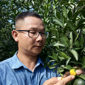 老潘农艺社 头像