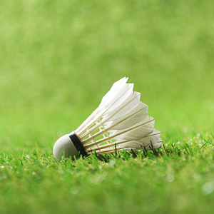 先寄再摆游戏百科 头像