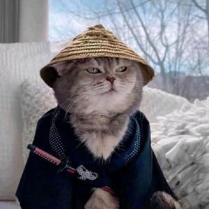 猎杀对决老腿子 头像