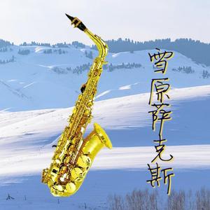 雪原萨克斯头像