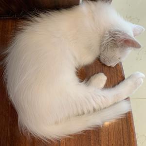 镜子镜子我是谁 头像