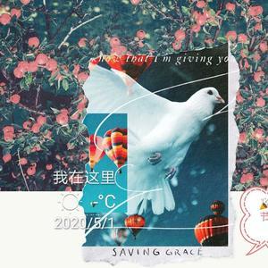 4K高清音乐 头像