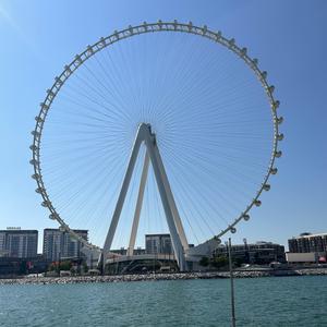 清微见闻思 头像