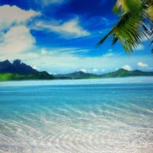 夏日面朝大海 头像