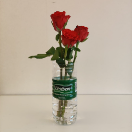 知心观察者 头像