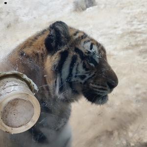 缤纷大千人文 头像