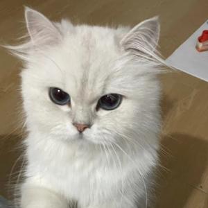 好奇博士悦悦 头像