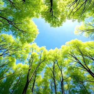 追风的大姐姐 头像