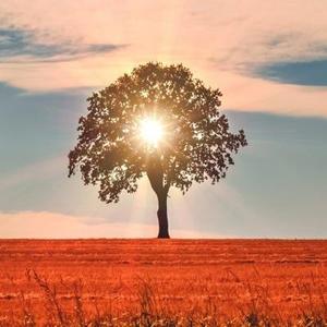 星星跌入梦里- 头像