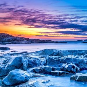 老仲在成都 头像