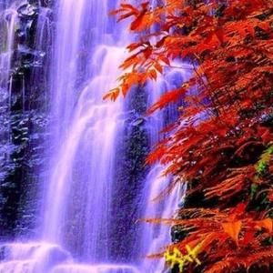 乡村农夫看三农 头像