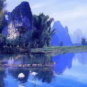 林间种花草 头像