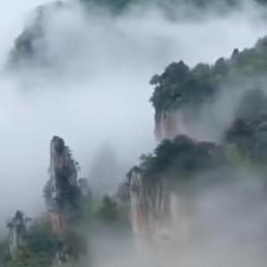 竹海牧歌1G3c