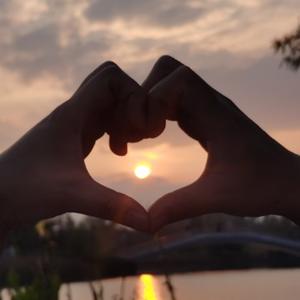 乐天派百灵鸟 头像