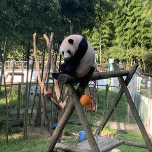 幽默的房产小杜