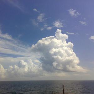 路灯下溜达 头像