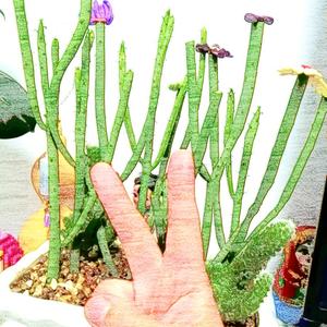 生活，晨起暮落 头像