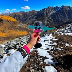 硅基ai.David 头像