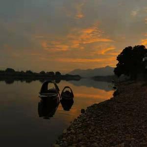 潇洒荷叶X 头像