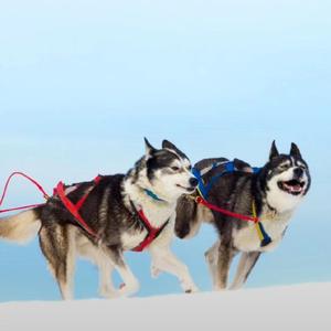 月白风清地 头像