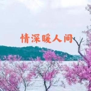 情深暖人间头像