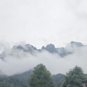 河边垂钓的渔人 头像