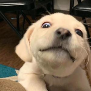 暴点解码器 头像