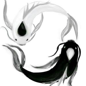 七觉先生易学