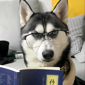 DNF未央云叔 头像