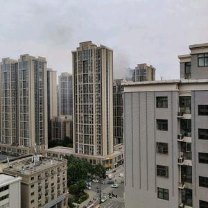 在鱼厂