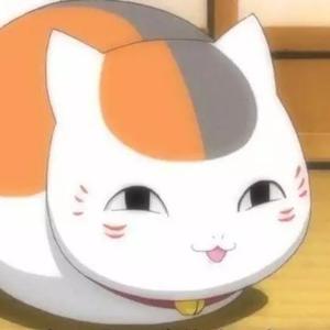 猫咪老师爱游戏 头像