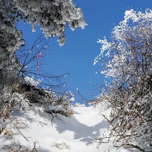 蓝关飞雪