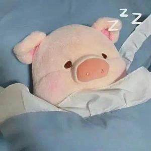 小猪滚去学习 头像